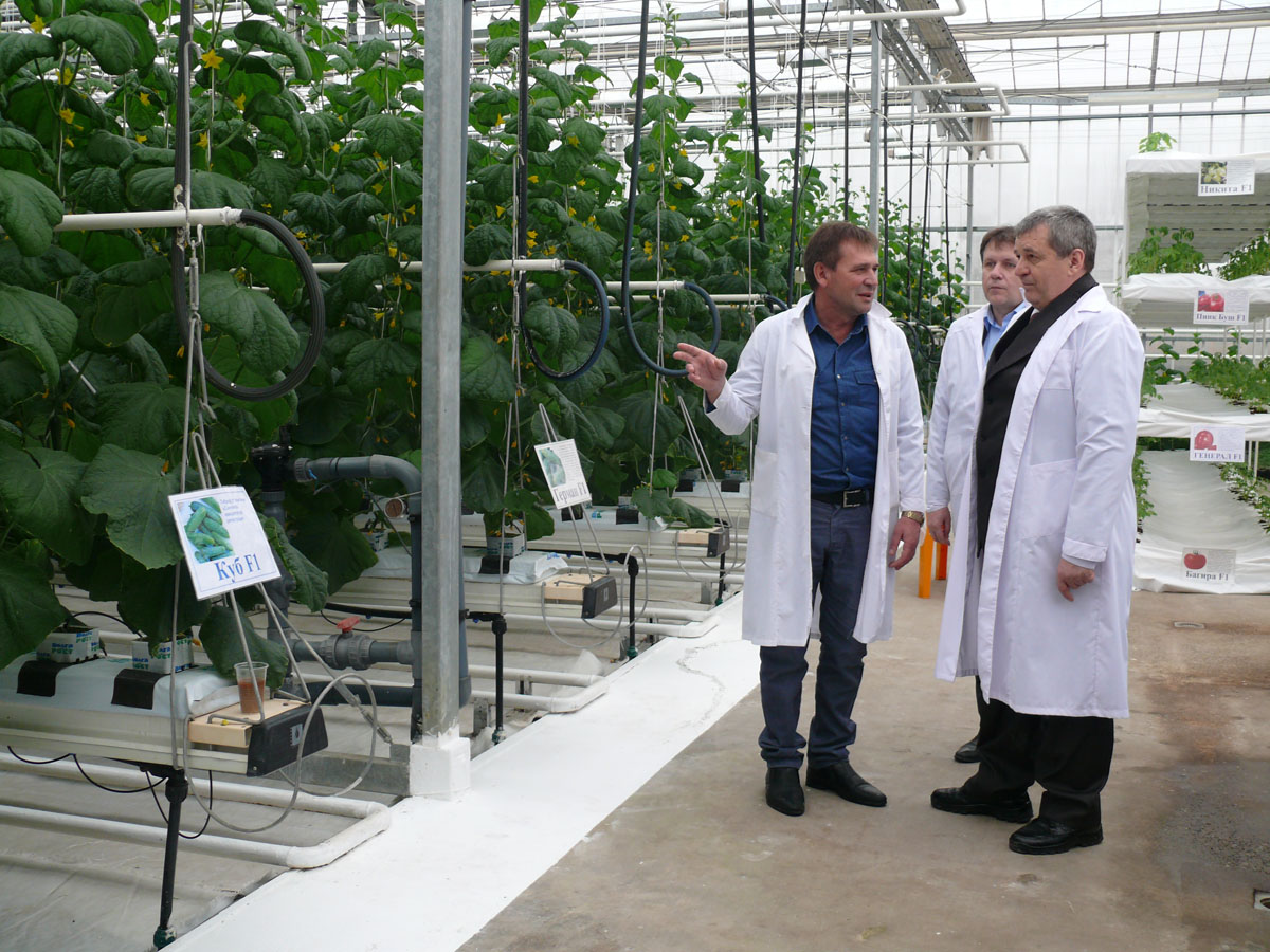 ???????????? ?.?. ?????????? (???????? ?? ???????????????? ?????????? ???????) ???????????? ?.?. ?????????? (???????? ?? ???????????????? ?????????? ???????)