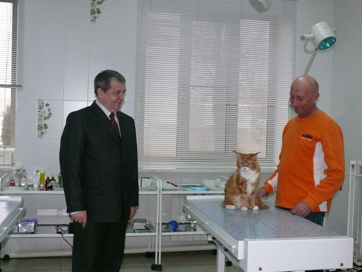 ???????????? ?.?. ?????????? (???????? ?? ???????????????? ?????????? ???????) ???????????? ?.?. ?????????? (???????? ?? ???????????????? ?????????? ???????)